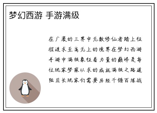 梦幻西游 手游满级